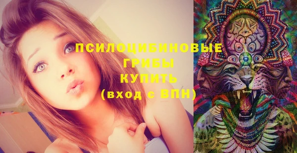 хмурый Пролетарск