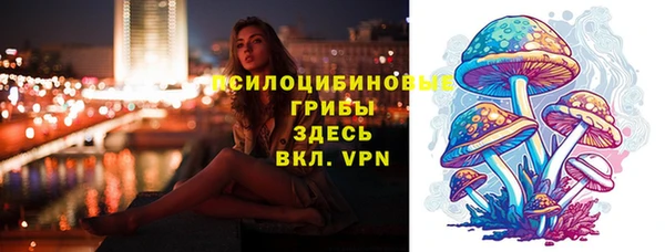 PSILOCYBIN Покровск