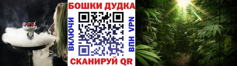 Шишки марихуана планчик  Купить  Гудермес 